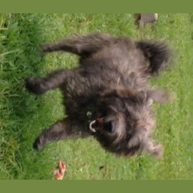 Photo of Jet