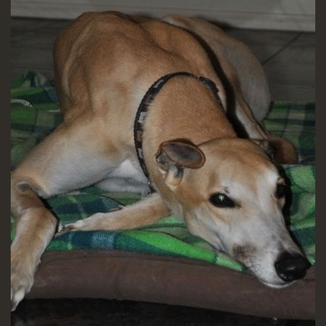 Photo of Floyd
