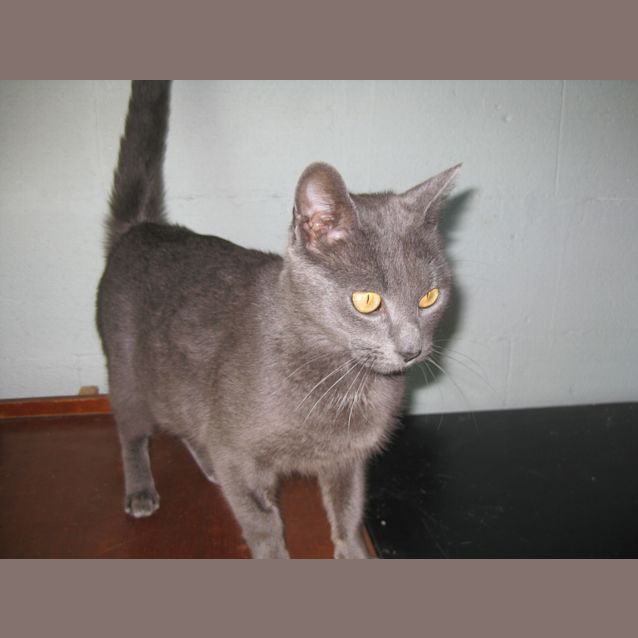 Photo of Bella
