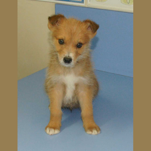 Photo of Bruiser206