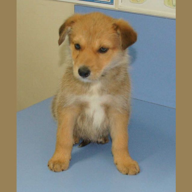 Photo of Rascal207