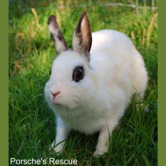 Photo of Ella  On Hold