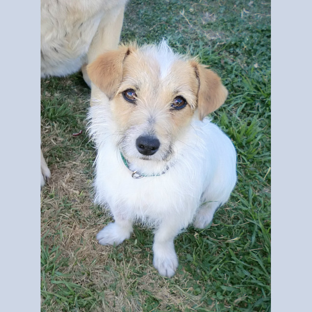 Photo of Charlie *On Trial In His New Home*