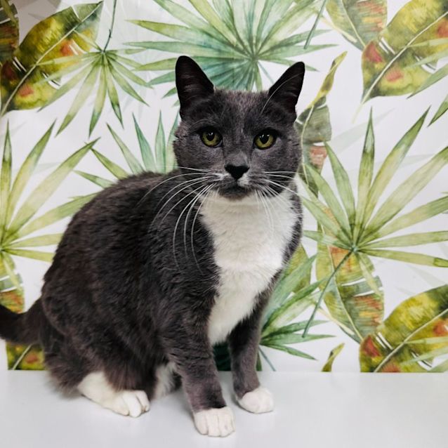 Photo of Carl   Located In Preston