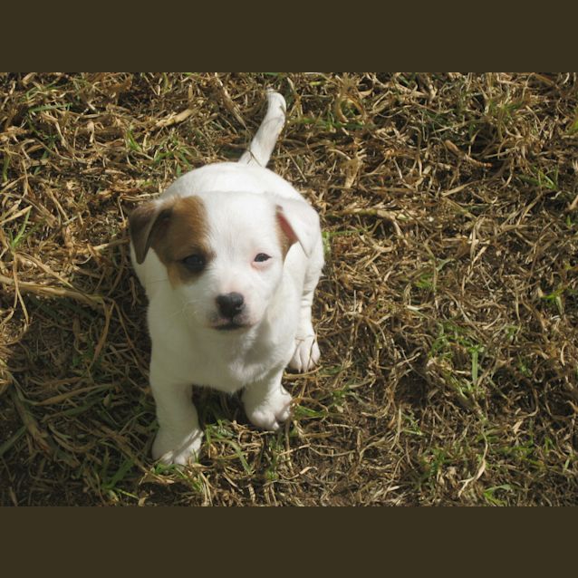 Photo of Kimberly   Adoption Pending