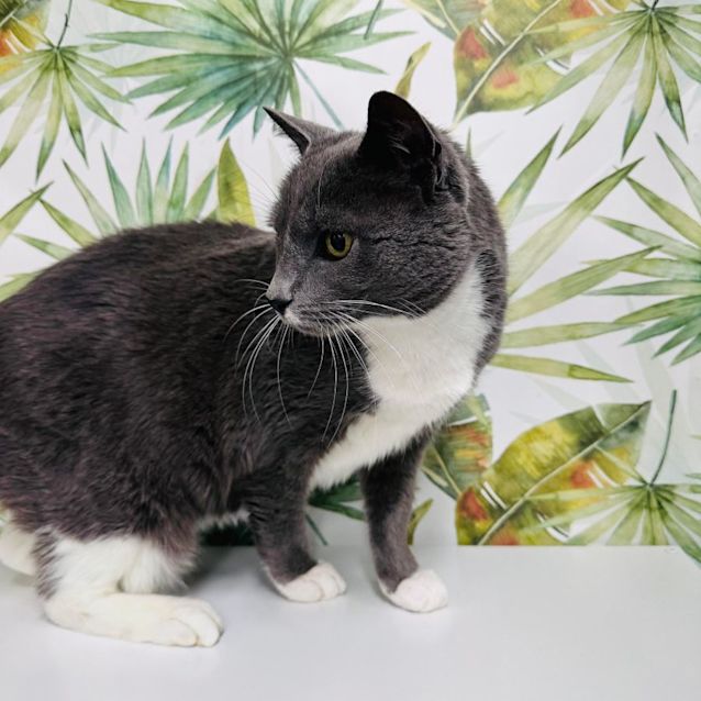 Photo of Carl   Located In Preston