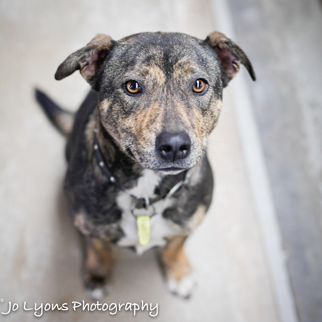 Photo of Bonny