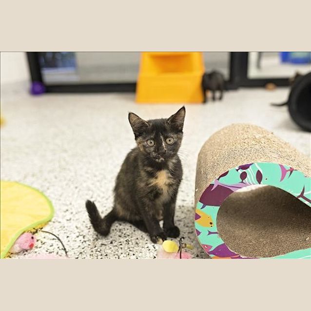 Photo of Berry
