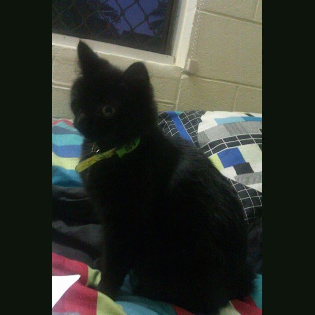 Photo of Winky