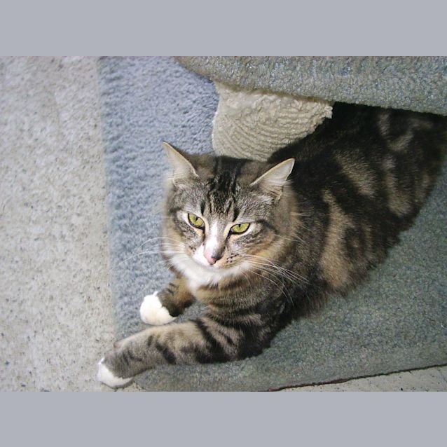 Photo of Boots