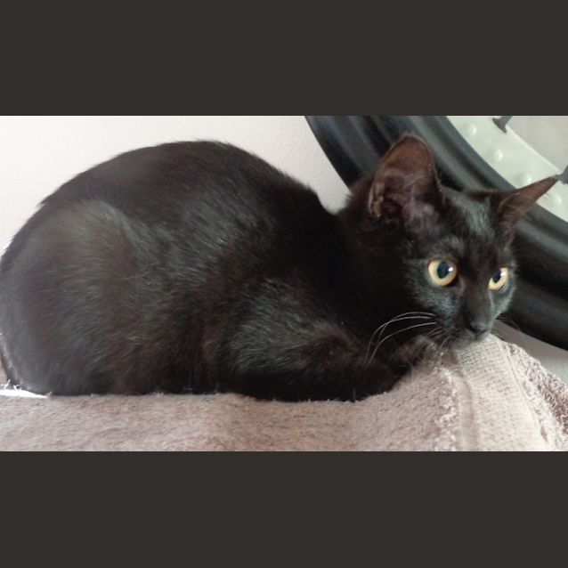 Photo of Holly