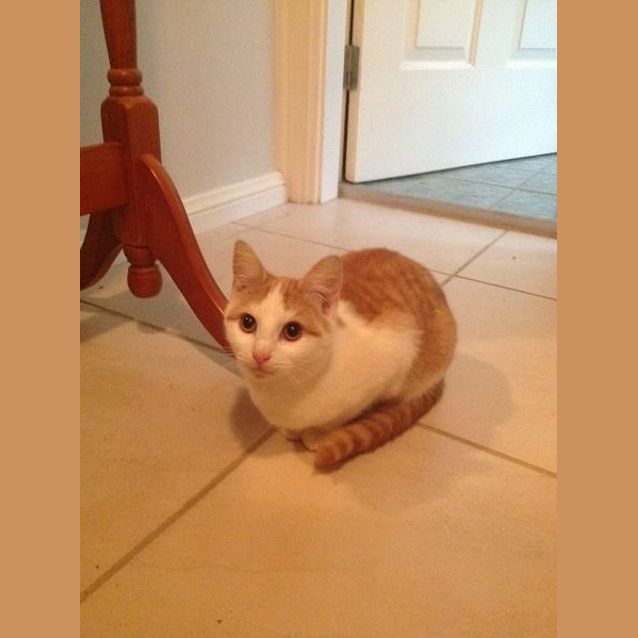 Photo of Macy