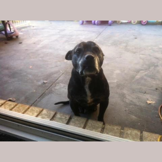Photo of Major