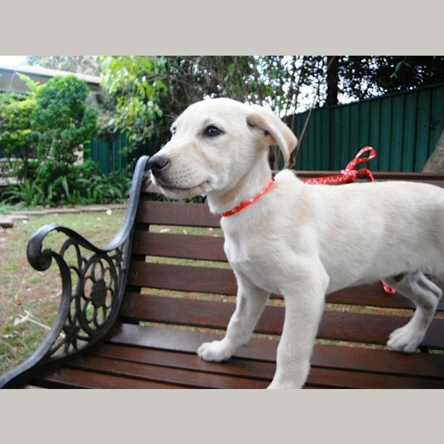Photo of Hercules
