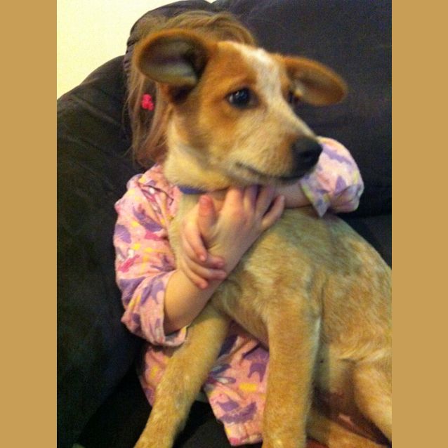 Photo of Ella (On Trial)