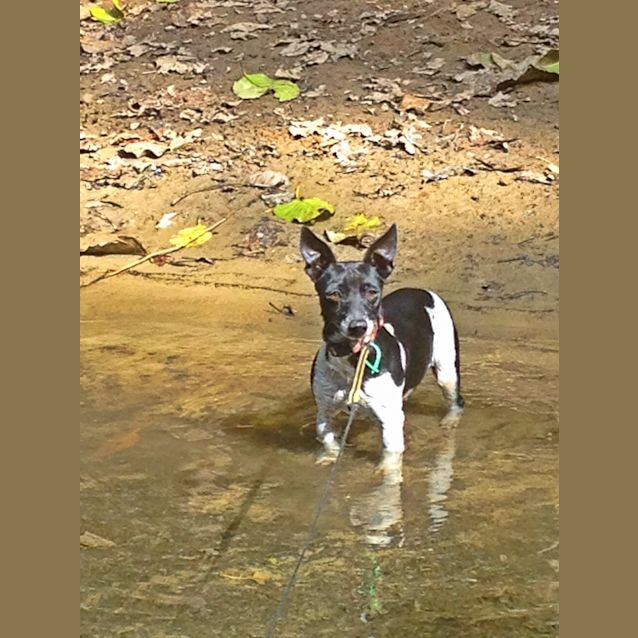 Photo of Buttons