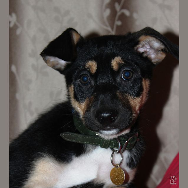 Photo of Sophie