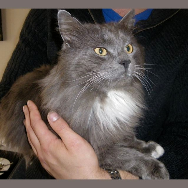 Photo of Humphrey