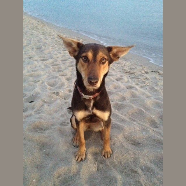 Photo of Matilda