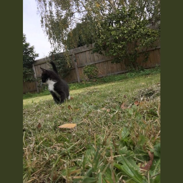 Photo of Effervescent Edith