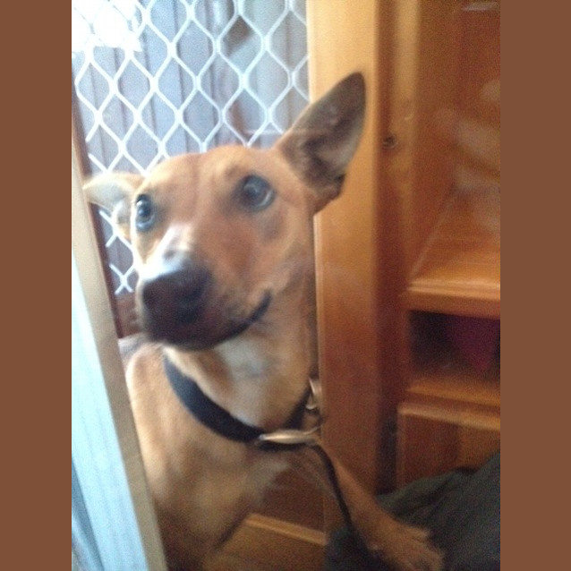 Photo of Sasha  (On Trial)