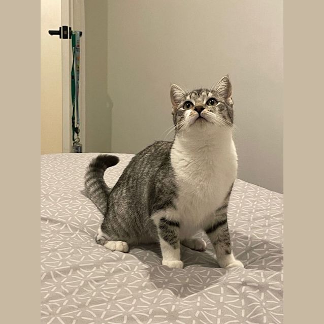 Photo of Allie