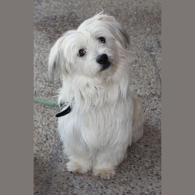 Photo of Timmie