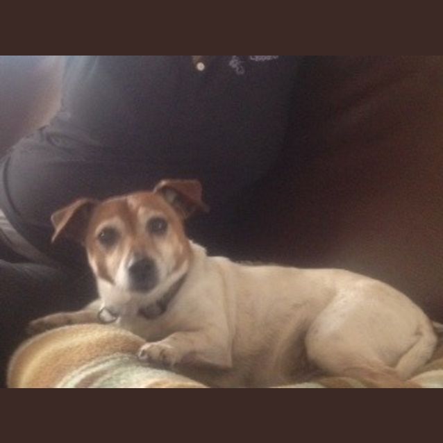 Photo of Isabelle *Senior Alert*