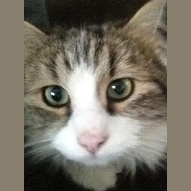 Photo of Milly