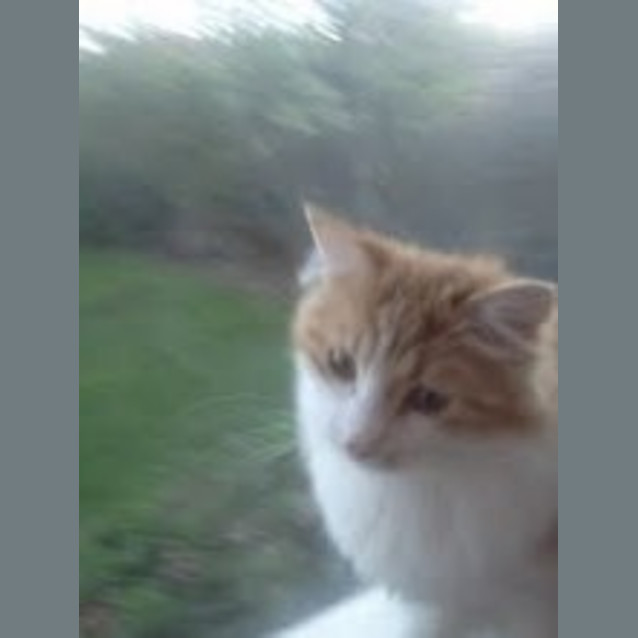 Photo of Parker