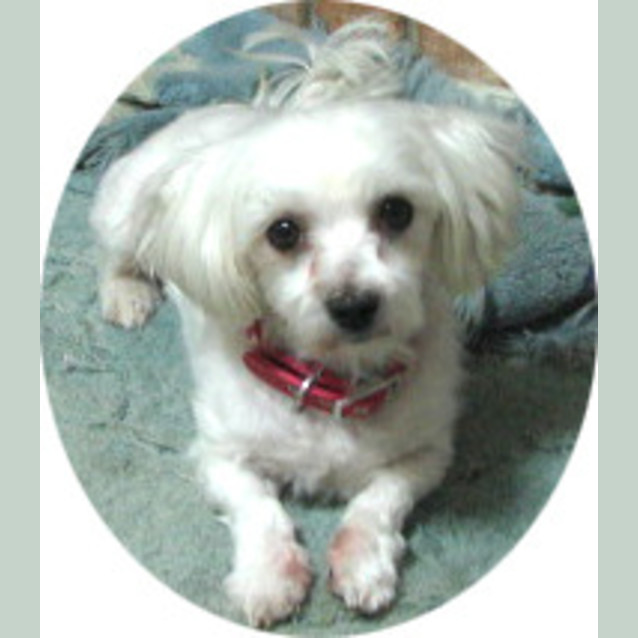 Photo of April
