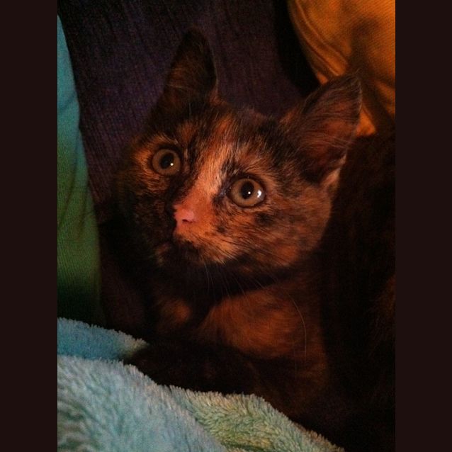 Photo of Muffy