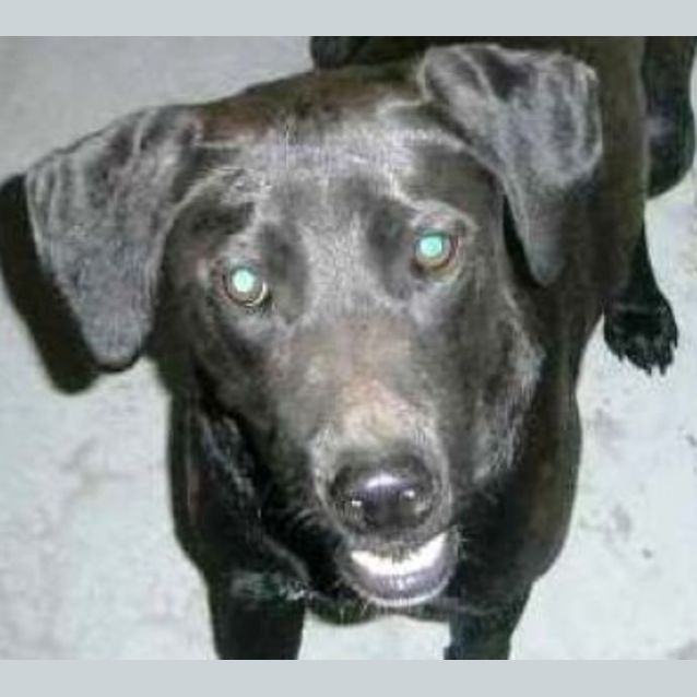 Photo of Shatha