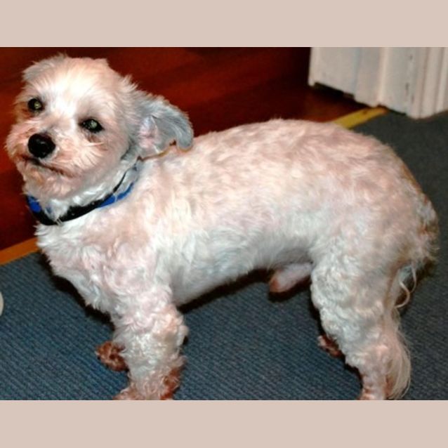 Photo of Jack Gabell