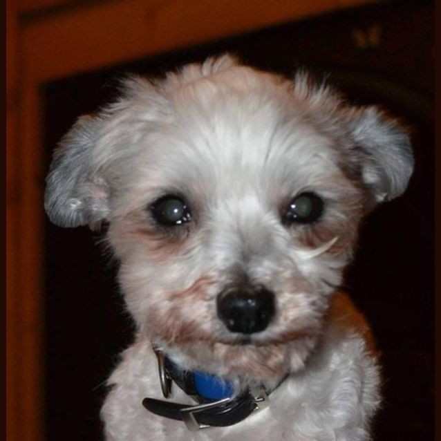 Photo of Jack Gabell