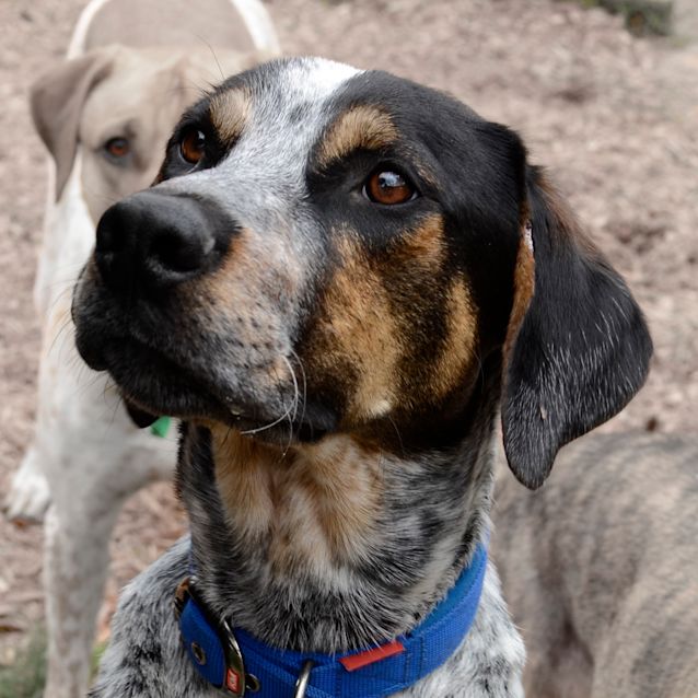 Photo of Benson