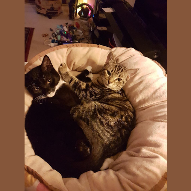 Photo of Dede & Lego