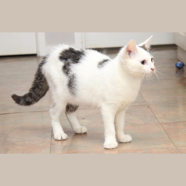 Photo of Anastasia (5261)