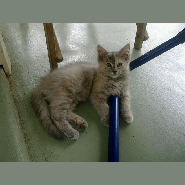Photo of Abby