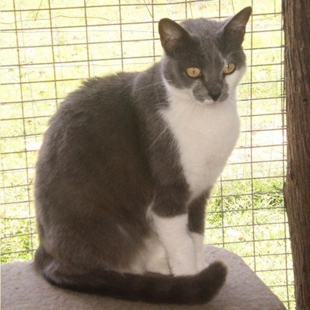 Photo of Keisha