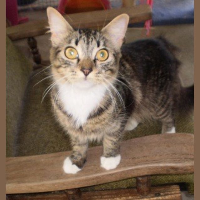 Photo of Abby
