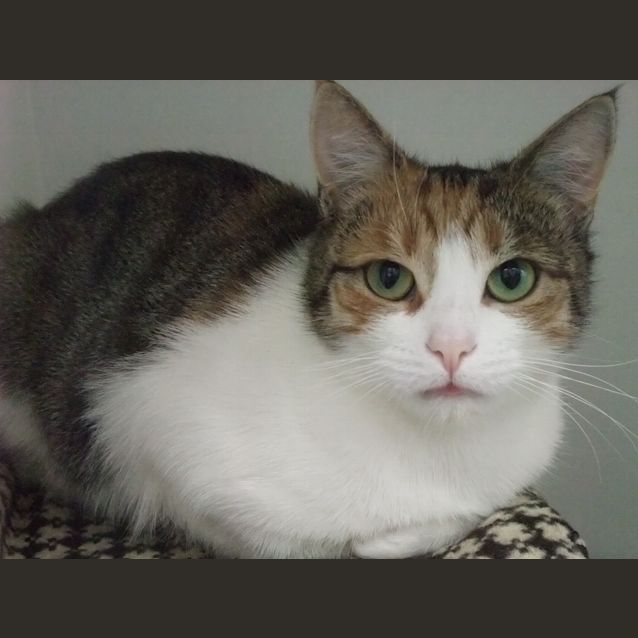 Photo of Josephine