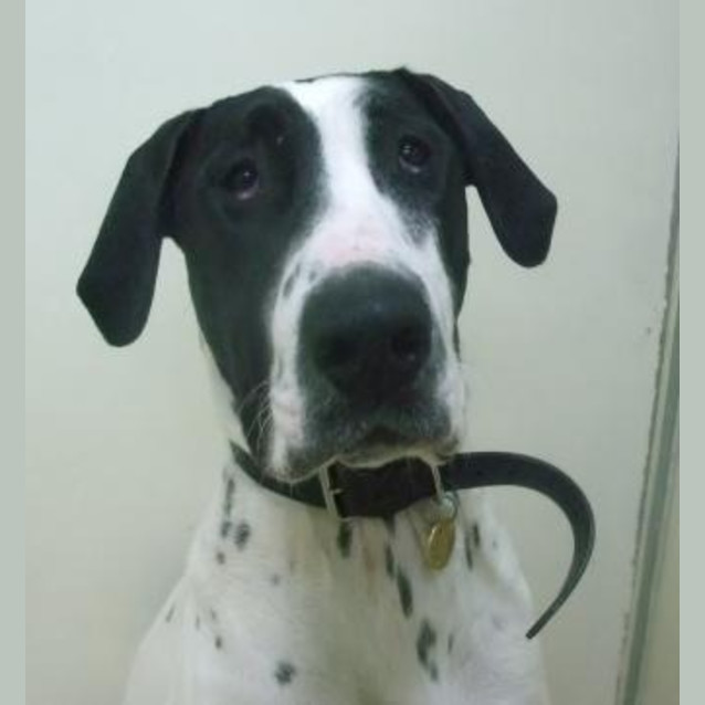 Photo of Keira
