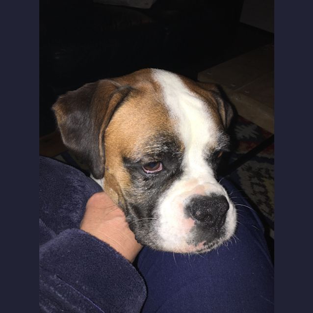 Photo of Lexi