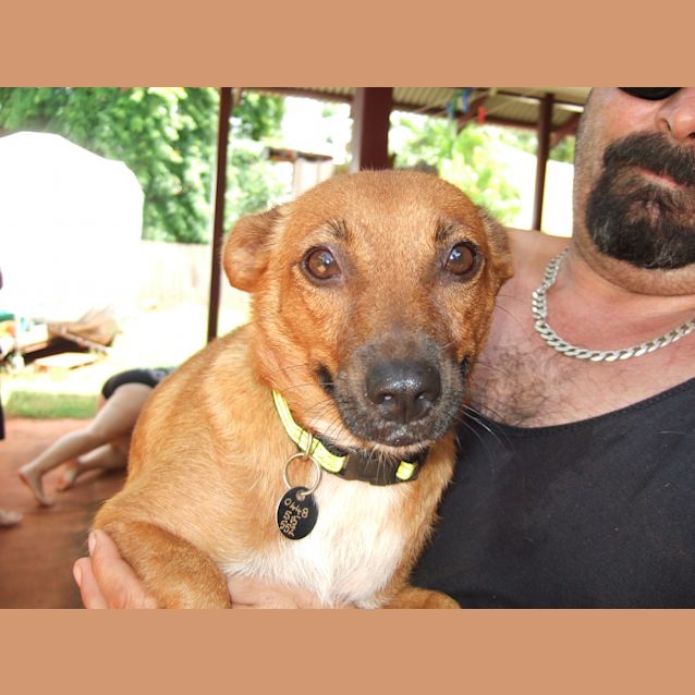 Photo of Mummadog