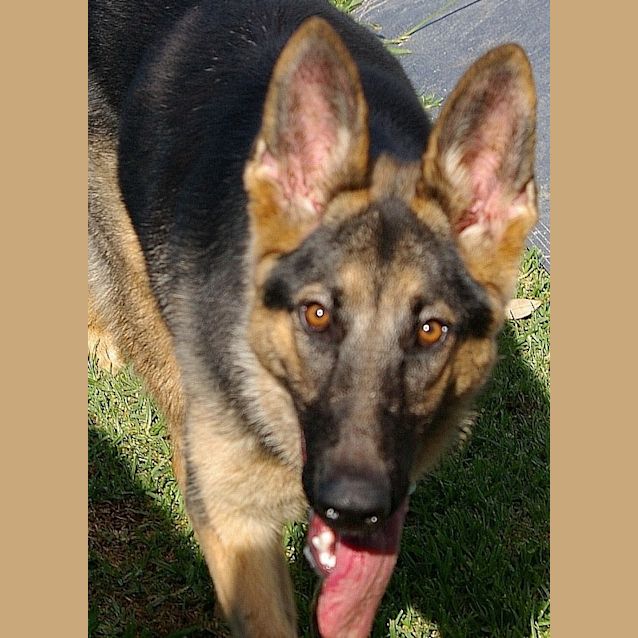 Photo of Lara