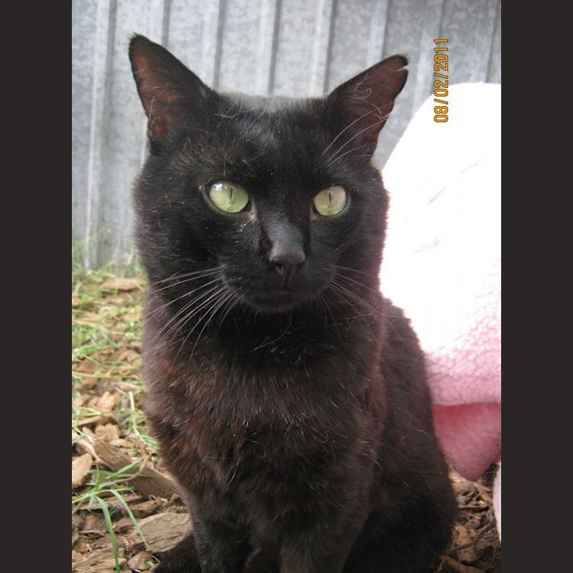 Photo of Mudder Fudder