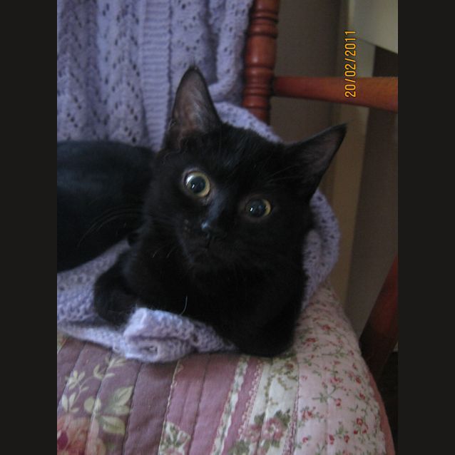 Photo of Shirley Manson