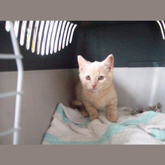 Photo of Reginald Dwight