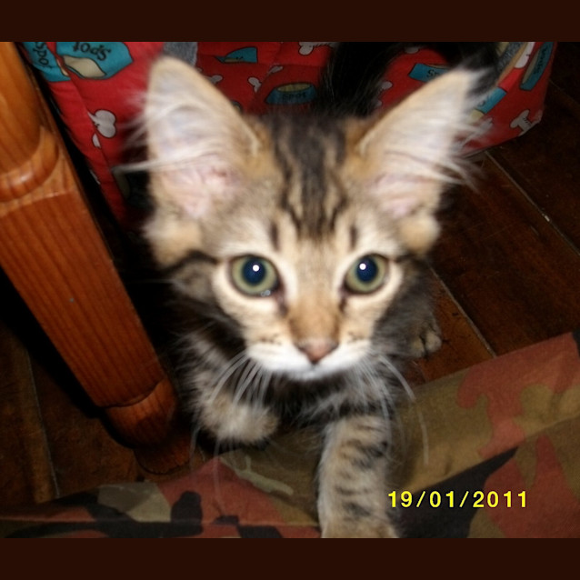 Photo of Bonnie